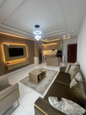 Serviced Fully Furnished 2bed Apartment Video Available, Ilasan, Ilasan, Lekki, Lagos, Flat / Apartment for Sale