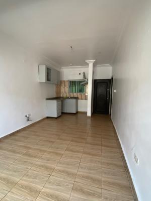 Luxury Mini Flat with Open Plan Kitchen, Chevron Lekki Lagos ( 24hrs Power), Lekki, Lagos, Mini Flat (room and Parlour) for Rent
