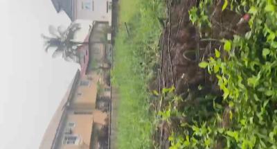 824.849 Sqm of Land, Carlton Gate Estate, Chevron Drive, Lekki Expressway, Lekki, Lagos, Residential Land for Sale