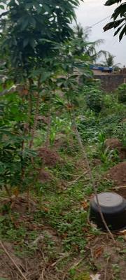 1 Plot and 686sqm Bareland in a Good Location, Mowe Ofada, Ogun, Mixed-use Land for Sale
