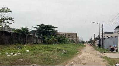 16,330sqm Land, New Road, Alpha Beach, Lekki, Lagos, Mixed-use Land for Sale