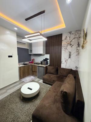 Cozy One Bedroom Apartment, Ikolaba Gra, Ibadan, Oyo, Mini Flat (room and Parlour) Short Let