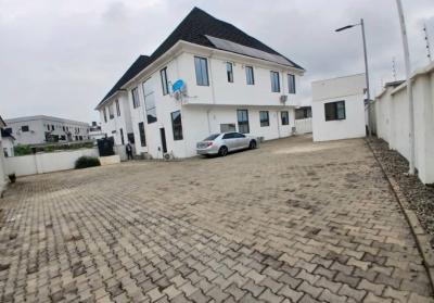 Fully Furnished 5 Bedroom Twin Duplex, Guzape District, Abuja, Detached Duplex for Rent