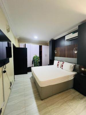 Fully Furnished 4 Bedroom Terrace Duplex, Oniru, Victoria Island (vi), Lagos, Terraced Duplex for Rent