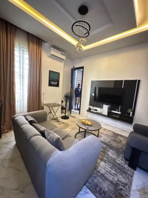 Make Your Choice: Furnished Or Unfurnished Spacious and Beautiful, Sangotedo, Ajah, Lagos, Mini Flat (room and Parlour) for Rent