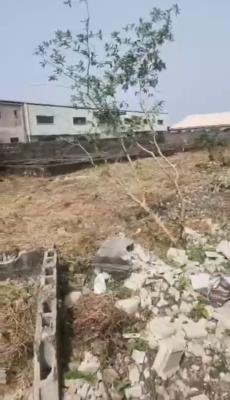 Land Measuring 2 Plots with a Hotel Raft, Lakowe, Ibeju Lekki, Lagos, Mixed-use Land for Sale