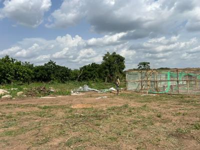 Build Wealth From Palm Oil Farming Without Becoming a Farmer!!!, Fully Managed Oil Palm Farmland with a Flexible Payment Plana Flex, Iseyin, Oyo, Mixed-use Land for Sale