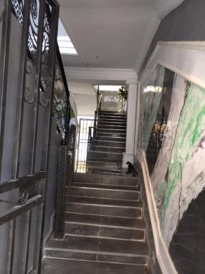 Massive Exclusive 2 Bedroom, Surulere, Lagos, Flat / Apartment for Rent