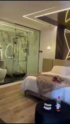 Studio Apartment with Furniture, Lekki Phase 1, Lekki, Lagos, Self Contain (single Rooms) for Sale