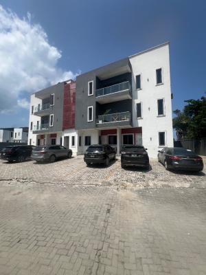 Furnished 2 Bedroom Apartment, Conservation Way, Chevron, Lekki, Lagos, Flat / Apartment for Rent