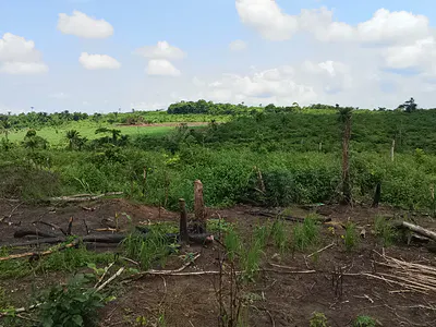 500SQM of Mixed Used Land