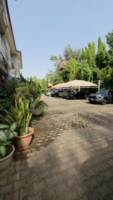 Luxury Four-bedroom Fully Furnished Terrace Apartment, Thames Street, Maitama District, Abuja, Terraced Duplex for Sale