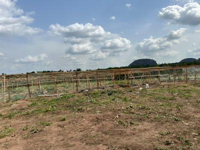 Secure a Fully Managed Oil Palm Farm Land & Earn From Agriculture, Iseyin, Oyo, Mixed-use Land for Sale