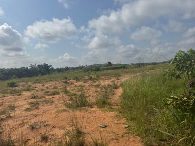 Premium Commercial Land Available on The Express, Lagos-ibadan Expressway, Ibafo, Ogun, Commercial Land for Sale