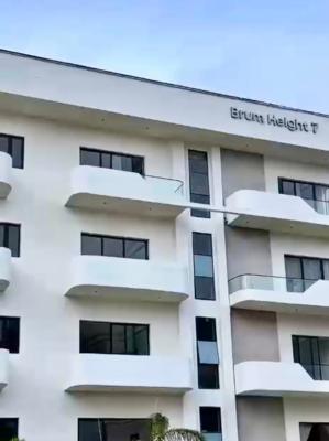 Spacious and Premium Built with Amazing Features, Lekki Phase 1, Lekki, Lagos, Flat / Apartment for Rent