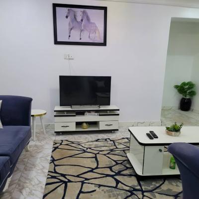 Standard and Furnished 1 Bedroom Apartment, Asokoro District, Abuja, Flat / Apartment for Rent
