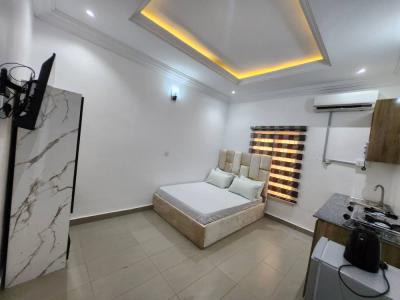 Self Contain Furnished Apartment, Jabi, Abuja, Flat / Apartment for Rent