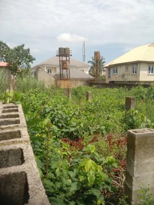 Full Plot of Land Well Fenced and Gated in  Good Area with Good Title, Badore Road, Badore, Ajah, Lagos, Residential Land for Sale