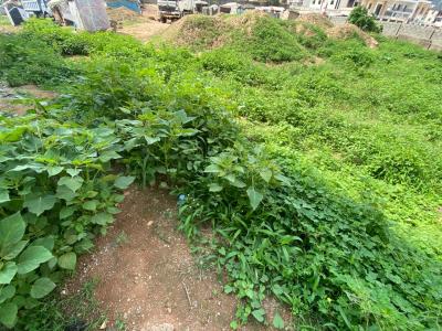 1600sqm Residential Land, Jahi, Abuja, Land for Sale