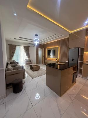 Lovely Fully Furnished 2 Bedroom Apartment in Flood Free Area, Ikate, Lekki, Lagos, Flat / Apartment for Sale