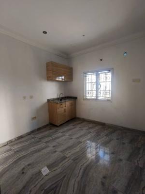 Well Maintained 1-bedroom, Ikate, Lekki, Lagos, Mini Flat (room and Parlour) for Rent