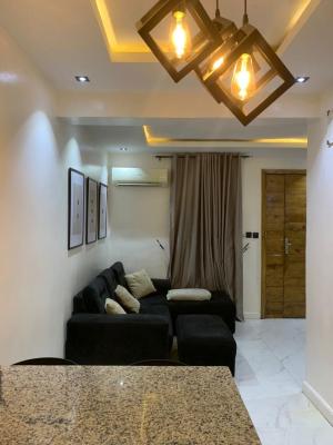Luxury 2bedroom Apartment, Lekki Phase 1, Lekki, Lagos, Flat / Apartment for Rent