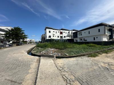 300 SQM of Corner Piece Land — Buena Vista Estate, Lafiaji, Lekki, Lagos