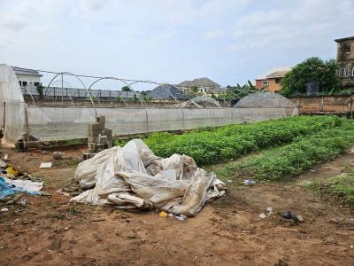 3 Plots of Land with Cofo, Off Kwata Junction, Enugu/onitsha Expressway., Awka, Anambra, Mixed-use Land for Sale