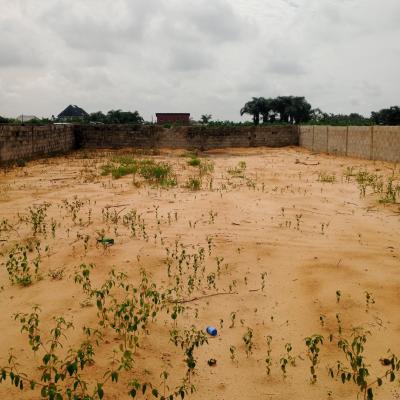 Luxurious Full Plot of Land for Lease for School Or Church, Abule Pan Ibeju Lekki Lagos, Ibeju Lekki, Lagos, Church Short Let