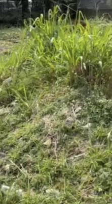 Premium Land, Osapa, Lekki, Lagos, Land for Sale