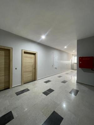 Luxury and Exquisite 2 Bedroom Apartment, Victoria Island (vi), Lagos, Flat / Apartment for Sale