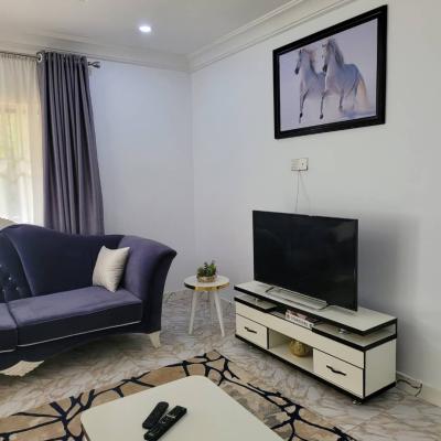 1 Bedroom Flat, Asokoro, Asokoro District, Abuja, Mini Flat (room and Parlour) for Rent
