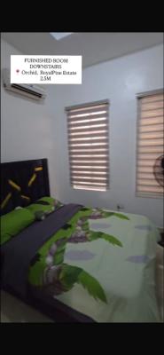 Spacious Room in a Massive Duplex Ensuit Sharing Just Kitchen, Orchid Road, Lekki, Lagos, Flat / Apartment for Rent
