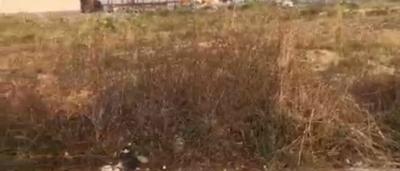 10000 Sqm Land with Federal C of O, Alagbon Road, Ikoyi, Lagos, Land for Sale