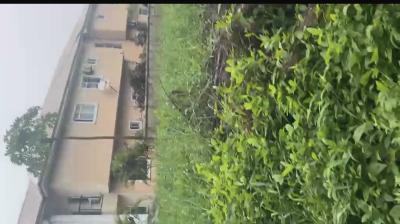 Vast Land Available at Calton Gate Estate, Chevron , Lekki, Lekki, Lagos, Residential Land for Sale