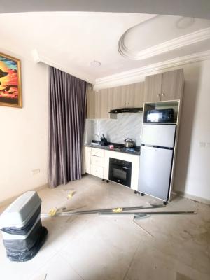 Newly Renovated Serviced Furnished Studio Apartment in Lekki Phase 1, Marwa Lekki Phase 1, Lekki Phase 1, Lekki, Lagos, Self Contain (single Rooms) for Rent