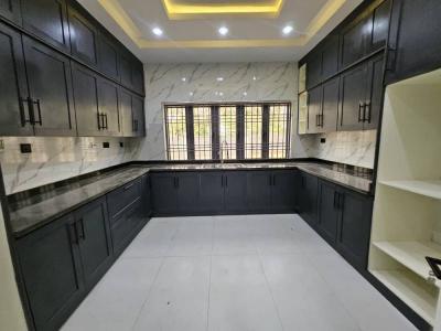 Brand New 5 Bedroom with Bq, Katampe District, Katampe Extension, Katampe, Abuja, Detached Duplex for Rent