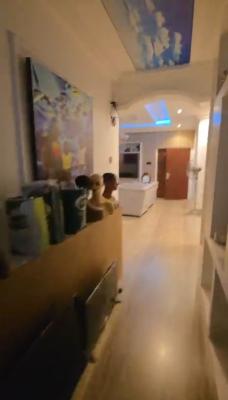 Clean 3bedroom Flat with Bq,without Furniture, Tarred Rd, Wuye Main(tarred Rd), Wuye, Abuja, Flat / Apartment for Rent