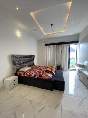 Partly Furnished Masters Bedroom Sharing Kitchen with 1 Person, Orchid Road Dpkay Estate, Lekki, Lagos, Flat / Apartment for Rent