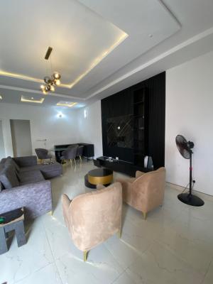 Mini Flat with Open Plan Kitchen ( Parlor Is Furnished), Orchid Road Dpkay Estate, Lekki, Lagos, Mini Flat (room and Parlour) for Rent