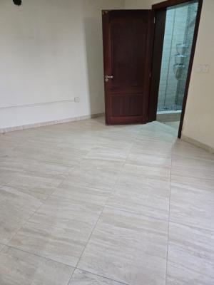 Luxury Serviced Unfurnished Mini Flat in Victoria Island, Vi, Victoria Island (vi), Lagos, Flat / Apartment for Rent