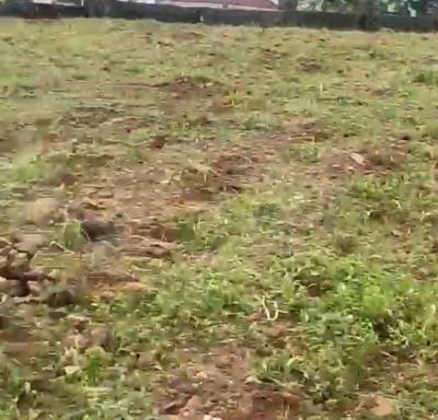 Hot Land for Lease on 3,777 Sqm of Land., Katampe, Jahi, Abuja, Commercial Property for Rent