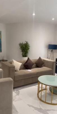 Furnished 2 Bedrooms Apartment, Victoria Island (vi), Lagos, House for Rent