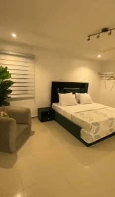 One Spacious Room Fully Furnished Ensuite with Shared Parlour, Wuse 2, Abuja, Self Contain (single Rooms) for Rent