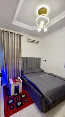 a Furnished and Spacious 1-bedroom Selfcon, Osapa, Lekki, Lagos, Self Contain (single Rooms) for Rent