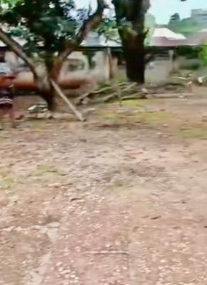 Deliverable 100 Hectares for Smart Investors, Idu Industrial, Abuja, Land for Sale