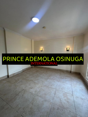 Premium 4 Bedroom Apartment +bq+pool+gym, Old Ikoyi Lagos, Ikoyi, Lagos, Flat / Apartment for Rent