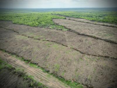 Own a Fully Managed Fertile Farmland & Earn Passively Steadily, Own Acres of Farmland Suitable for Several Forms of Crop Farming,, Abeokuta North, Ogun, Mixed-use Land for Sale