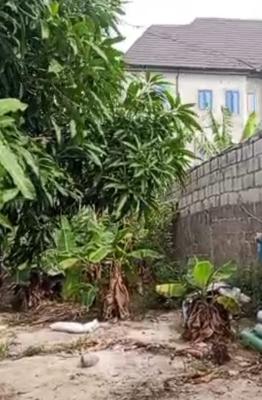 3 Plots of Dry Land Fence with Gate Located at Elemu Rd Very Close to, Elemu Rd Very Close to Community Bridge Ago, Title: Receipt and Survey, Ago Palace, Isolo, Lagos, Land for Sale
