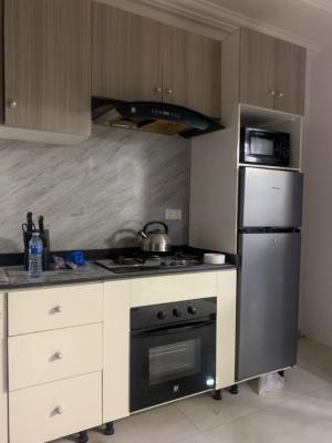 Unfurnished Or Furnished Studio Apartment, Lekki Right, Lekki Phase 1, Lekki, Lagos, Self Contain (single Rooms) for Rent
